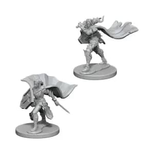 Pathfinder Deep Cuts Miniaturess of Elf Female Paladin W4