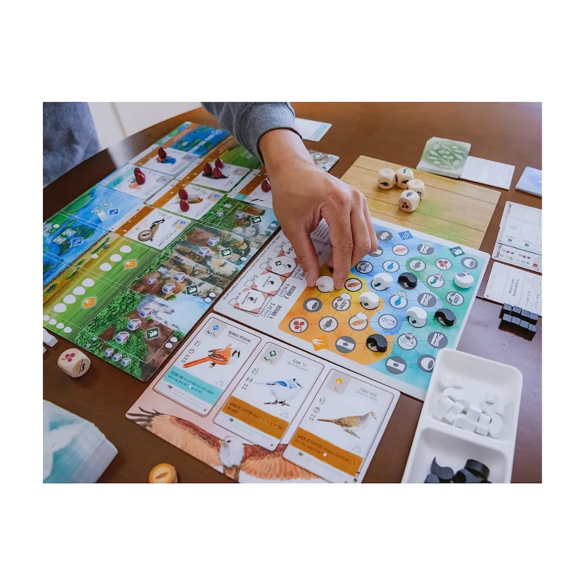 Wingspan Asia Wingspan Asia - Image 5