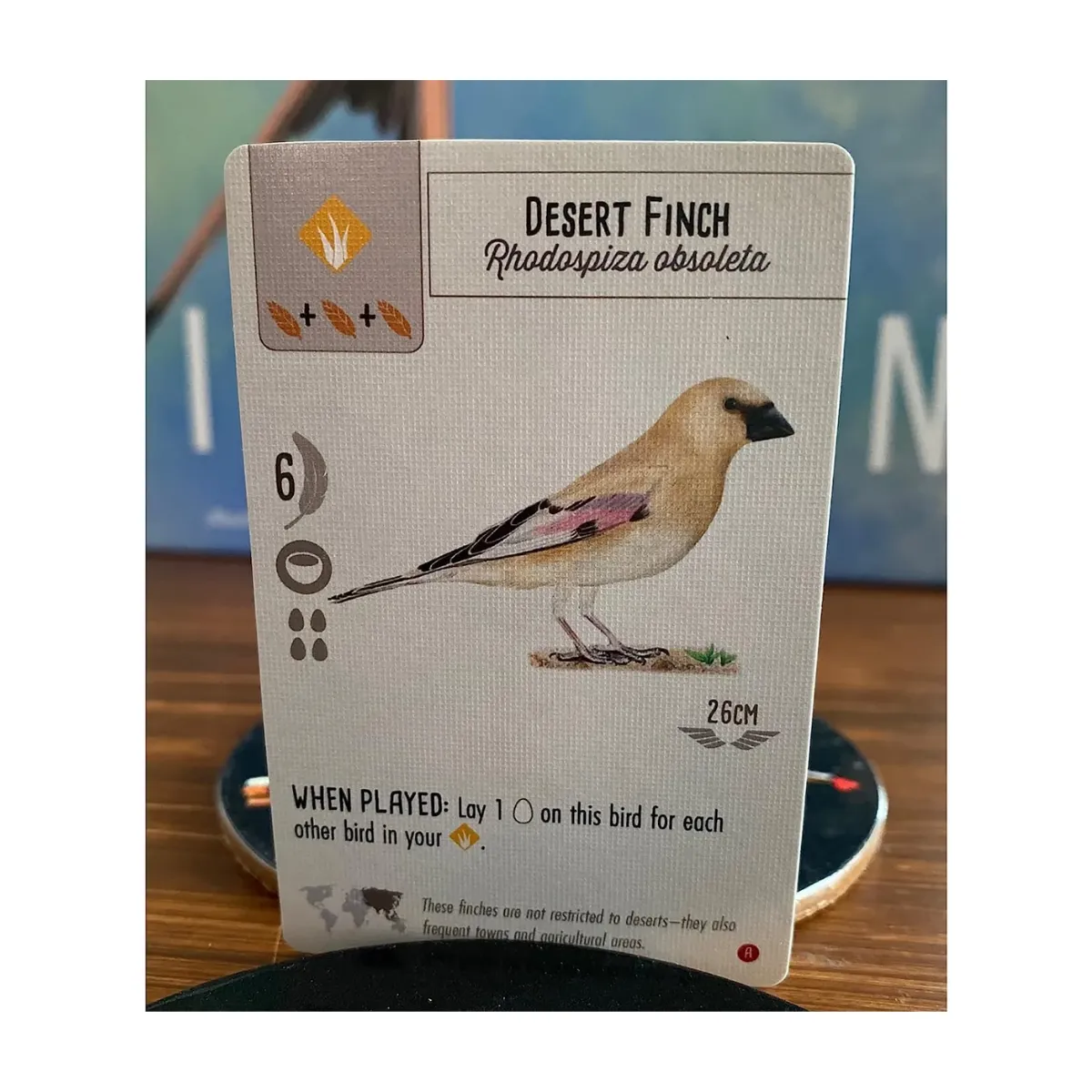 Wingspan Asia Wingspan Asia - Image 8