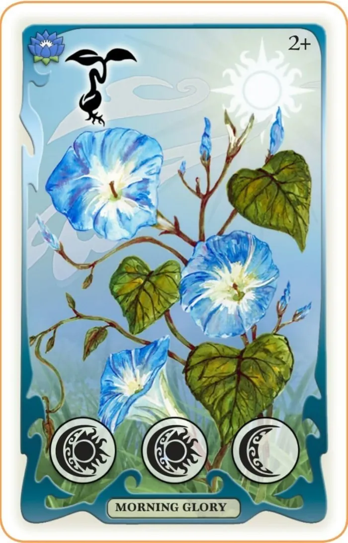 Dance of The Fireflies Card Game