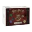 Harry Potter_ Hogwarts Battle – The Charms and Potions