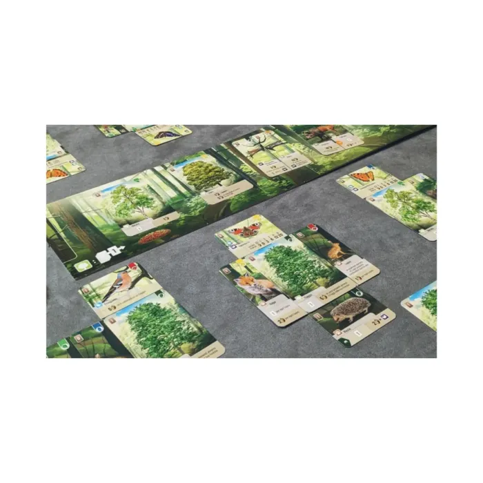 Forest Shuffle - Image 2
